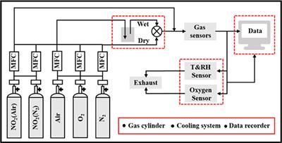 NO2 Sensing Properties of Cr2WO6 Gas Sensor in Air and N2 Atmospheres